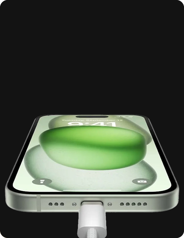 Device Inspection