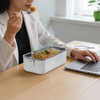 Green Lion GLB-20 LUNCH BOX Portable Food Warmer 1L