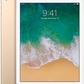 iPad 5th Gen (2017) Wi-Fi + Cellular
