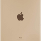 iPad 5th Gen (2017) Wi-Fi + Cellular