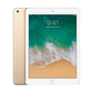 iPad 5th Gen (2017) Wi-Fi