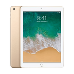 iPad 5th Gen (2017) Wi-Fi