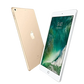 iPad 5th Gen (2017) Wi-Fi