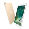 iPad 5th Gen (2017) Wi-Fi